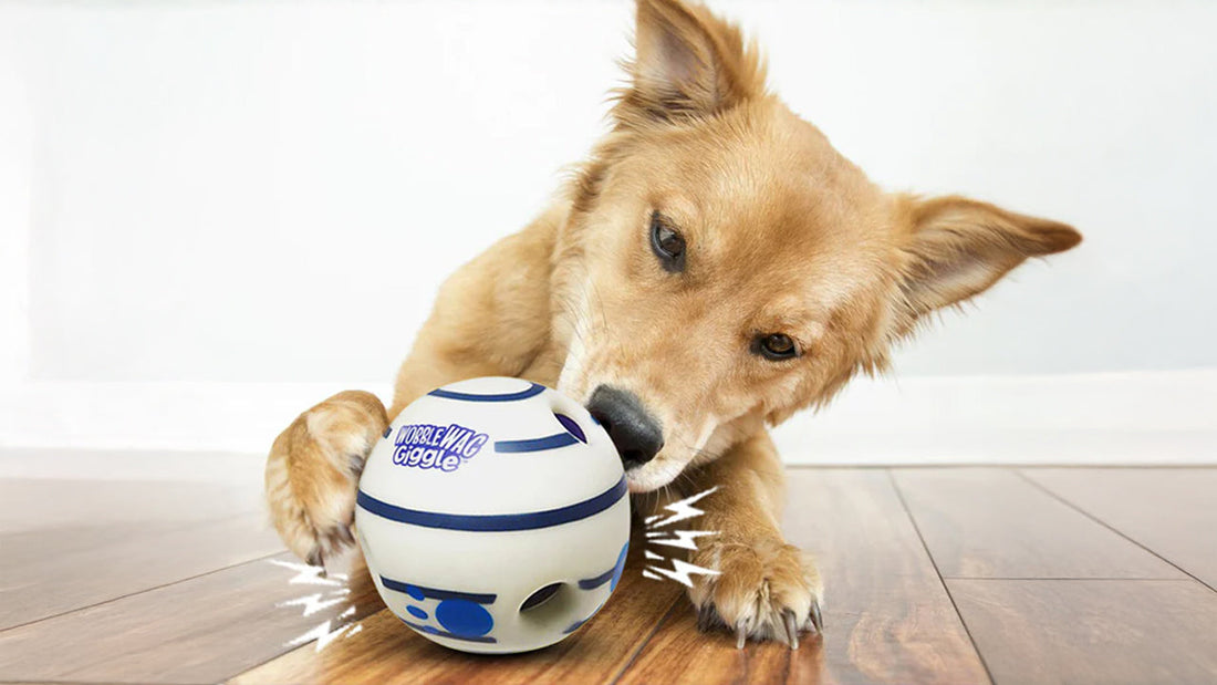 Glow Ball = Nighttime Fun