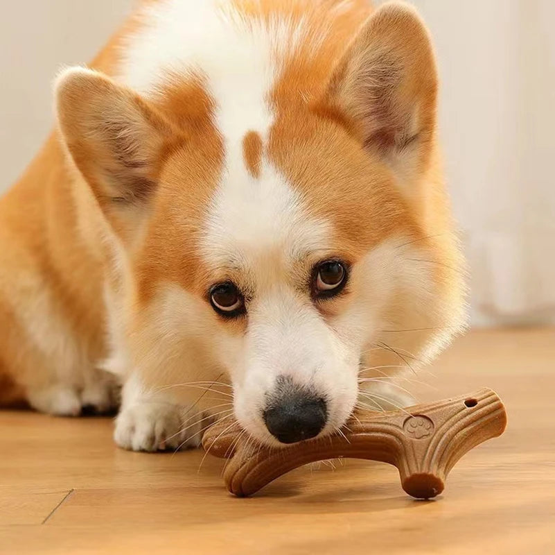 Dog Chew Stick Toy